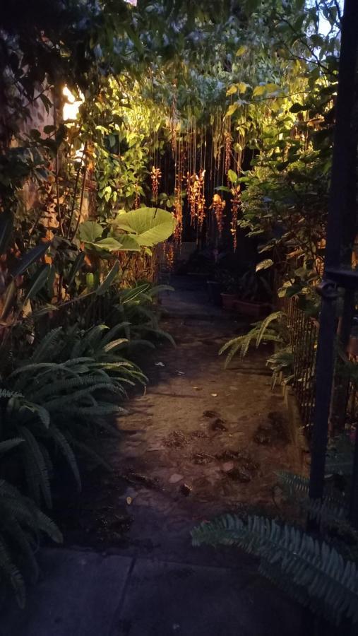 Casa Quetzalli, La Recoleccion Antigua Ngoại thất bức ảnh