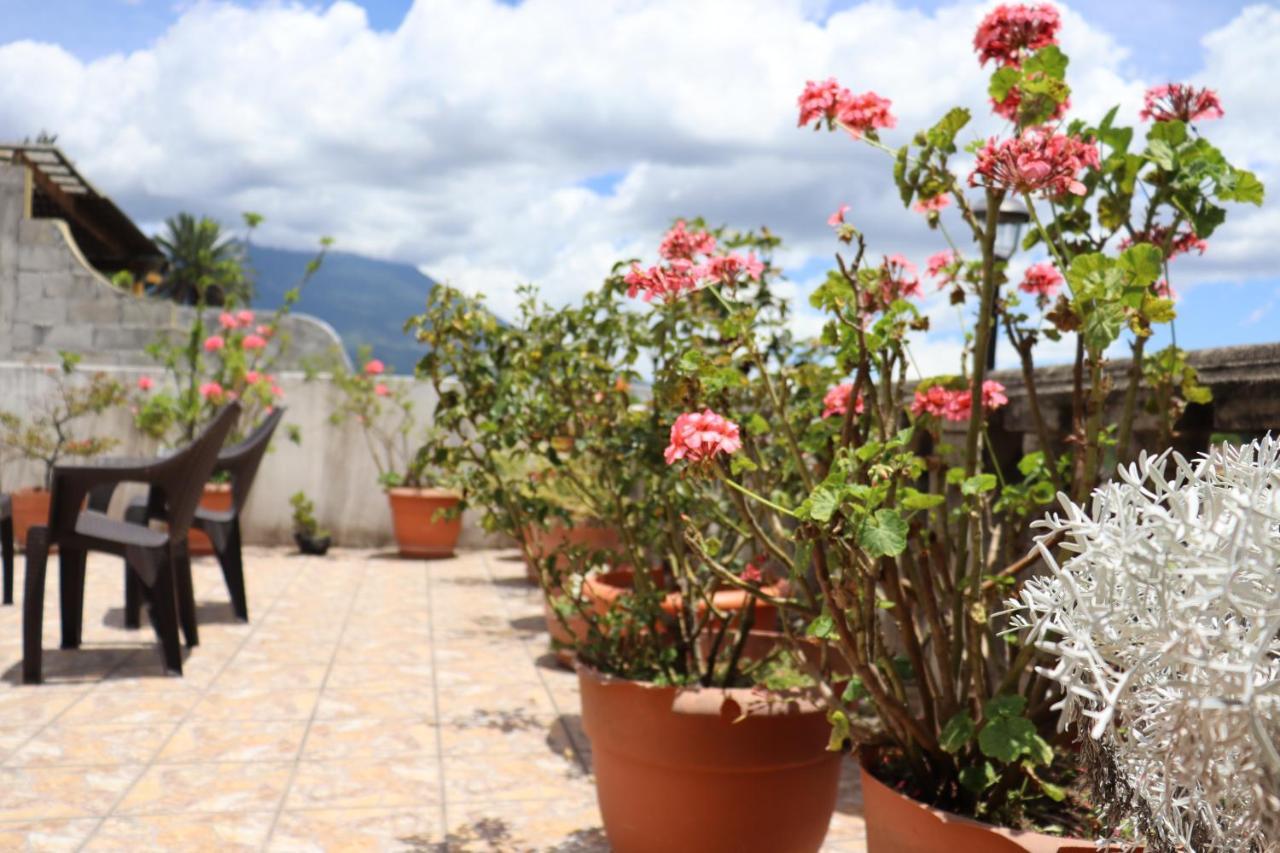 Casa Quetzalli, La Recoleccion Antigua Ngoại thất bức ảnh
