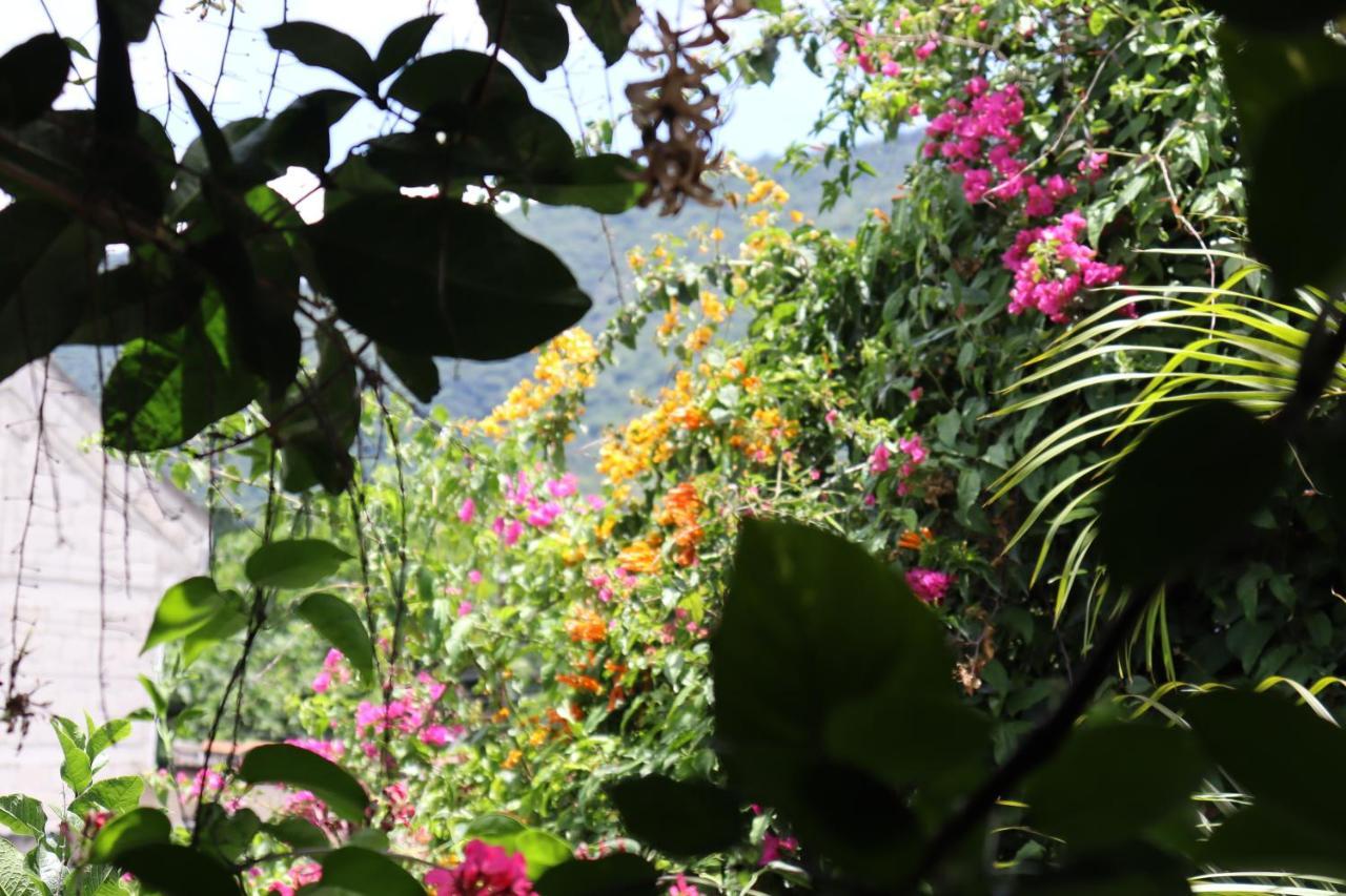 Casa Quetzalli, La Recoleccion Antigua Ngoại thất bức ảnh